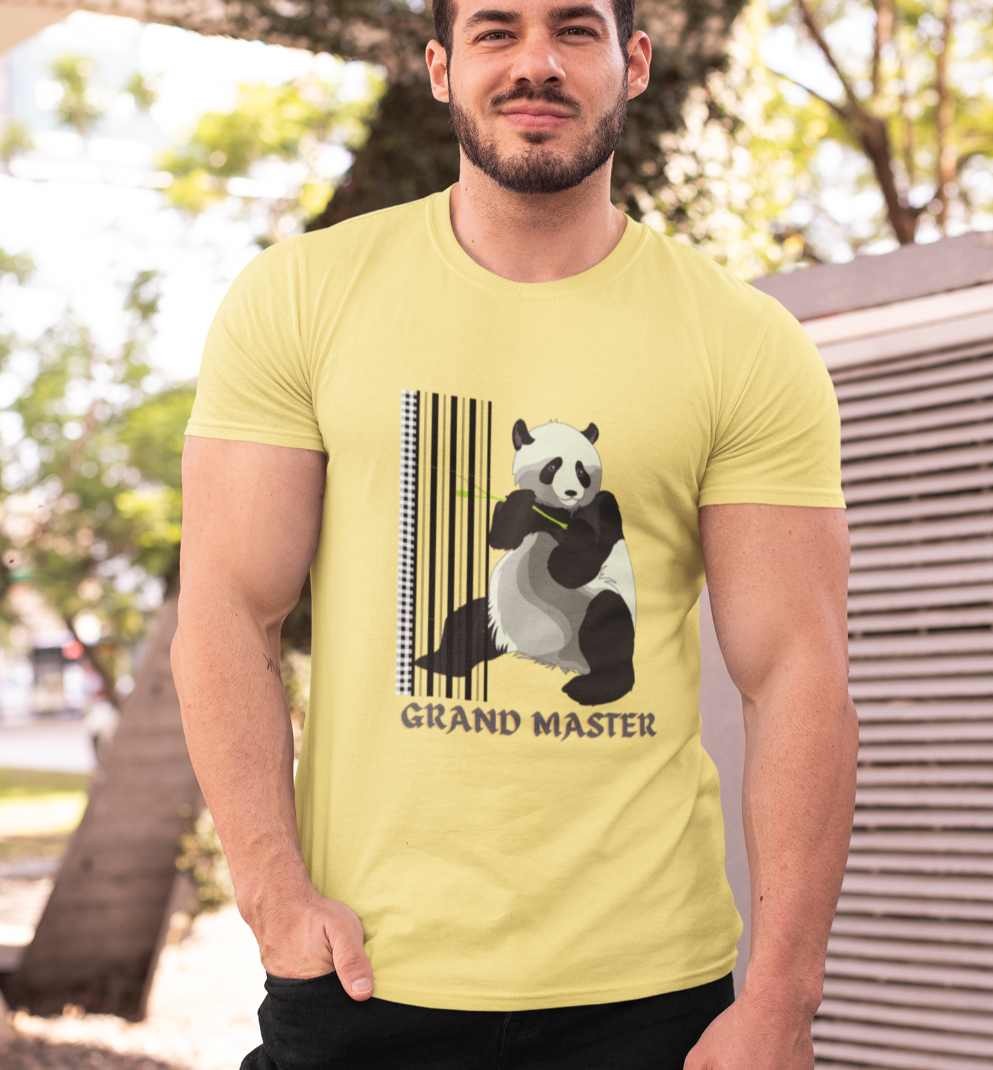 Kung FU Panda T-shirt Beige