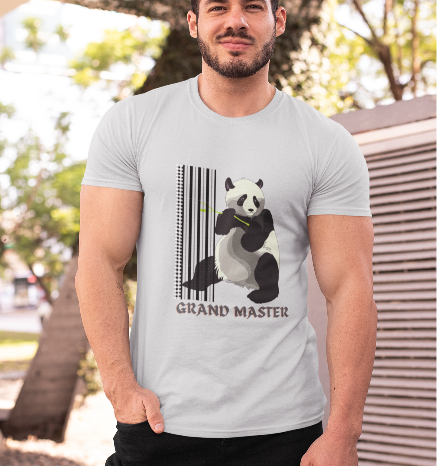 Kung FU Panda T-shirt Light Grey