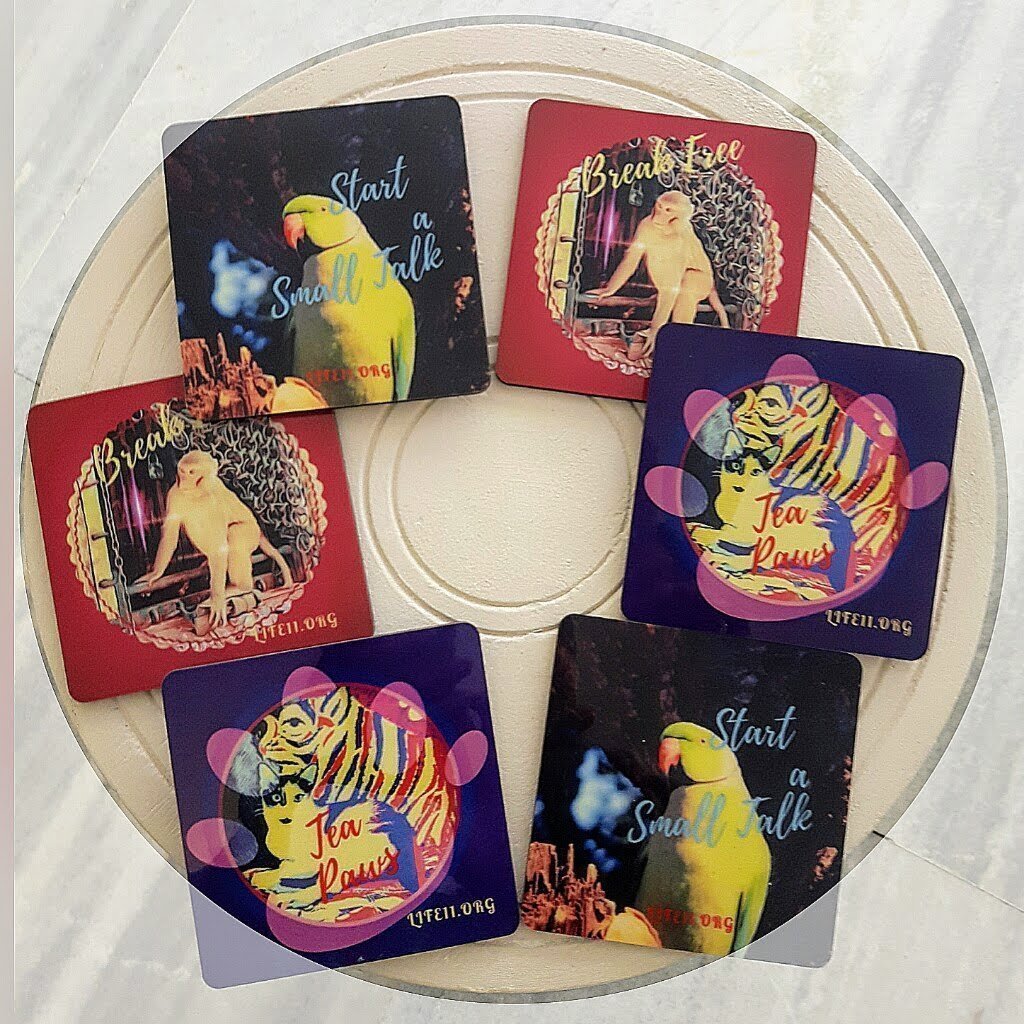 Tea Coasters - Set of 6 with parrot, cat picture