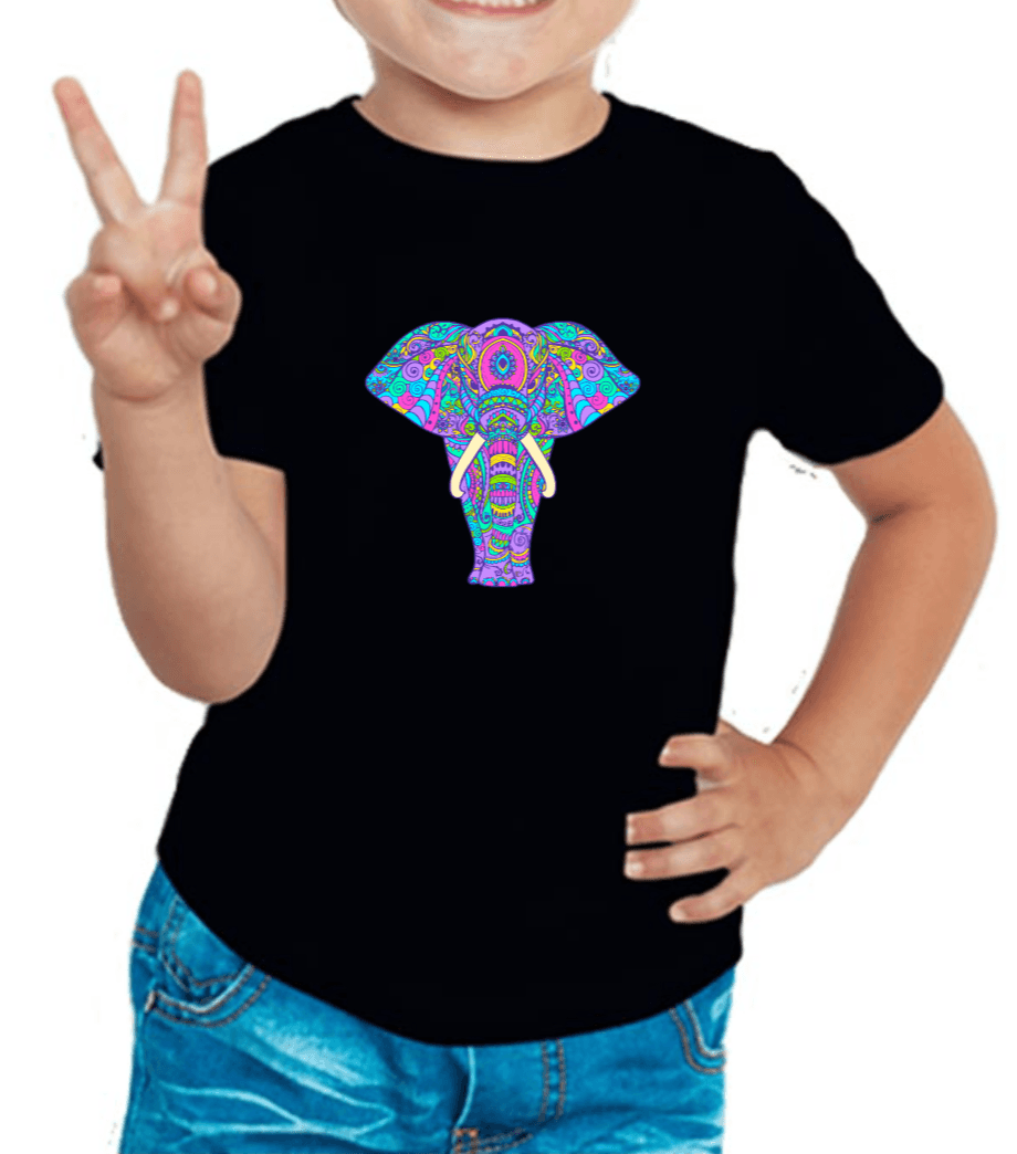 Royal Elephant Graphics Boy's T Shirt for Kids D14