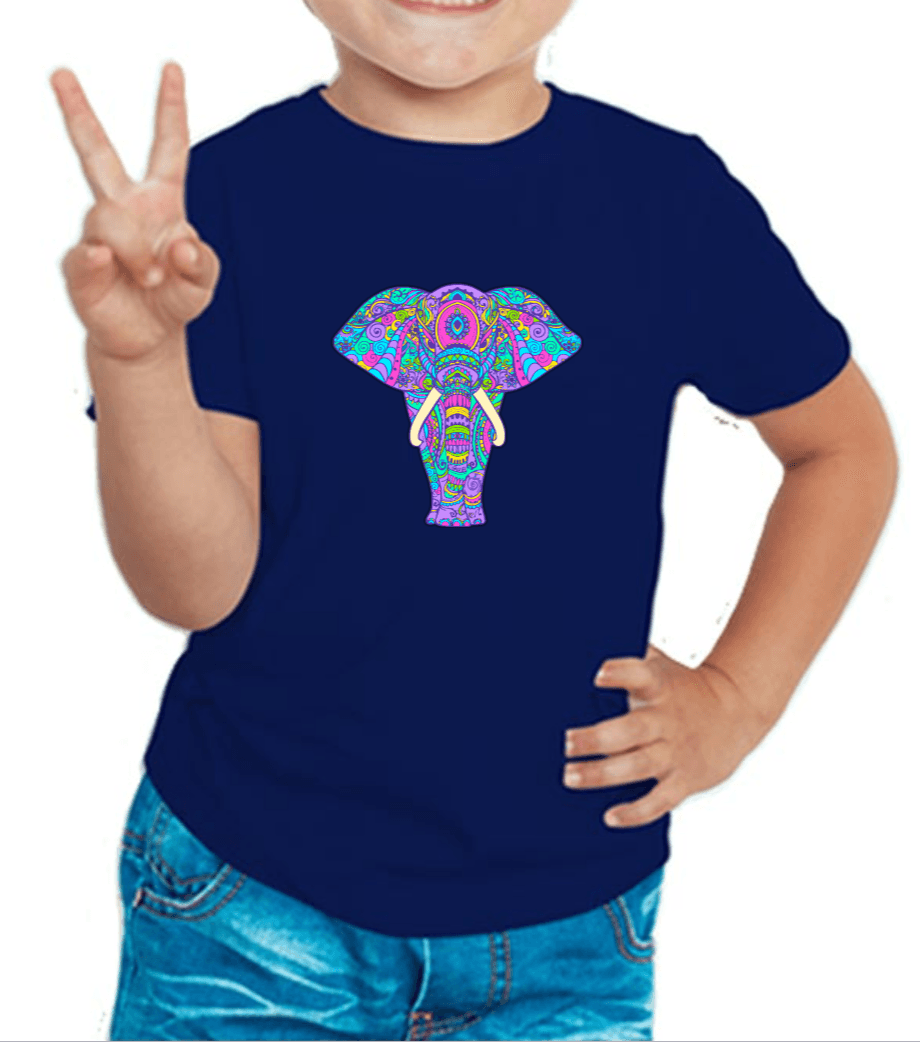 Navy blue tshirt for boys printed with royal elephant graphic design