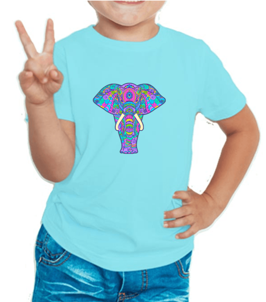 Sky blue tshirt for boys printed with royal elephant graphic design